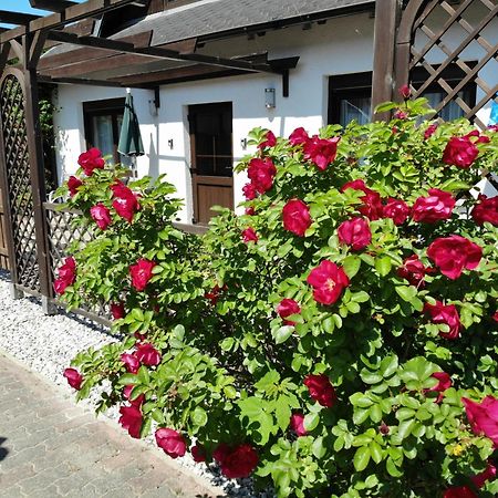 Ferienhaus Kress Links Sellin  Esterno foto