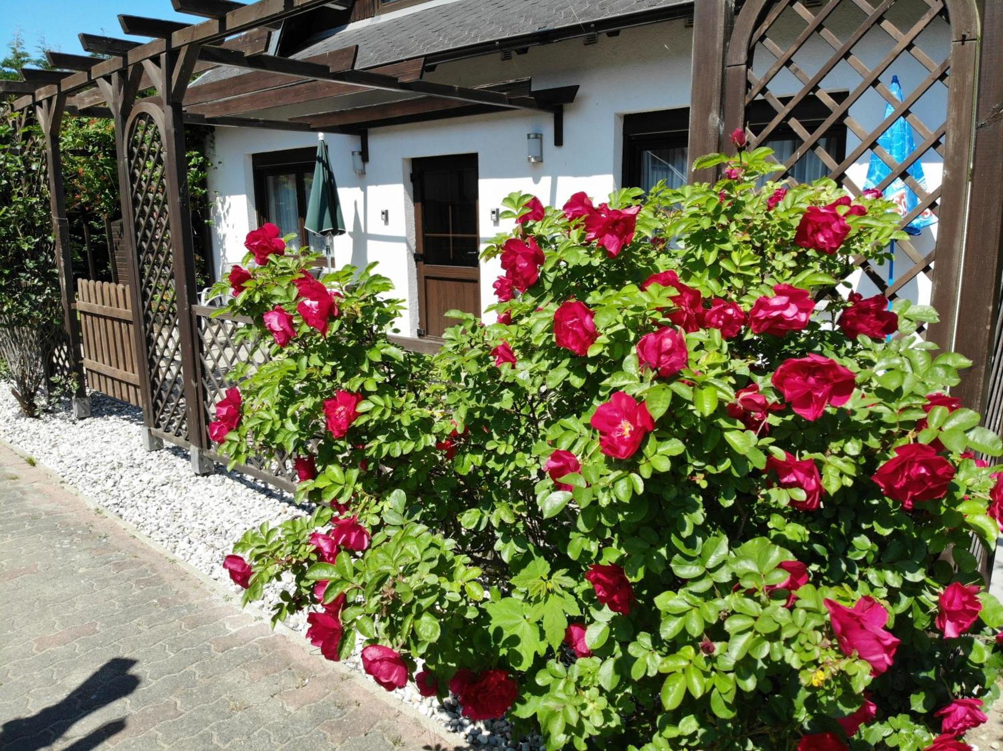 Ferienhaus Kress Links Sellin  Esterno foto